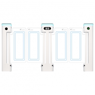 立式摆闸【双通道】