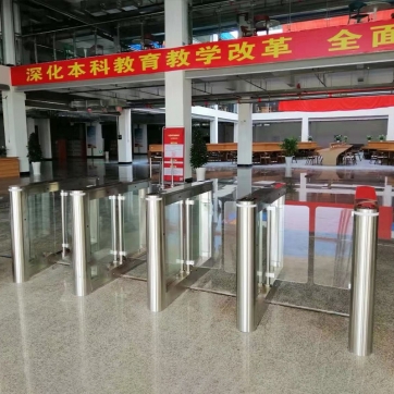 小摆闸